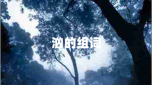 洶的組詞