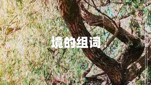 境的組詞
