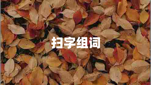 掃字組詞