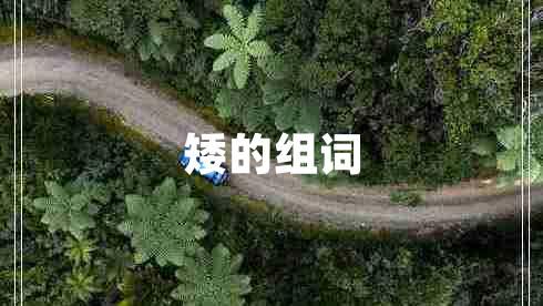 矮的組詞