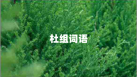 杜組詞語(yǔ)