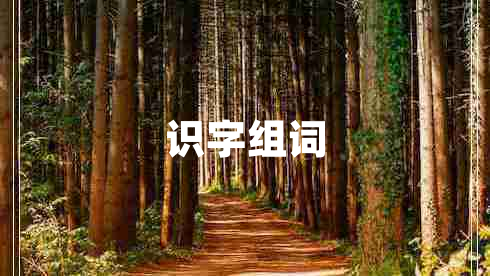 識字組詞