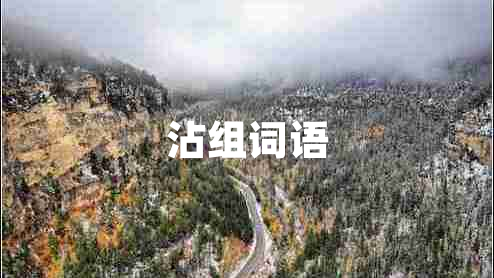 沾組詞語
