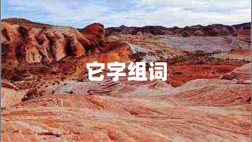 它字組詞
