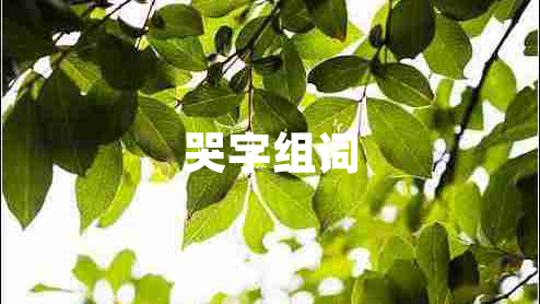 哭字組詞