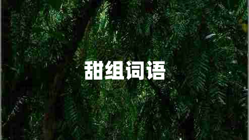甜組詞語