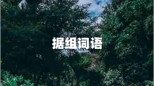 據(jù)組詞語