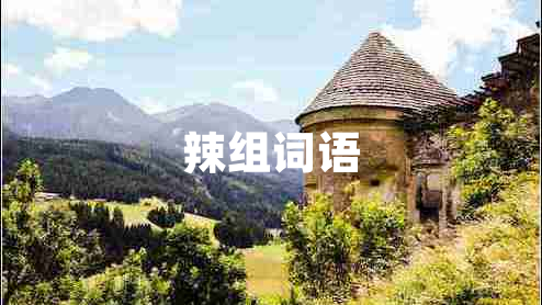 辣組詞語(yǔ)