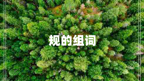 規的組詞