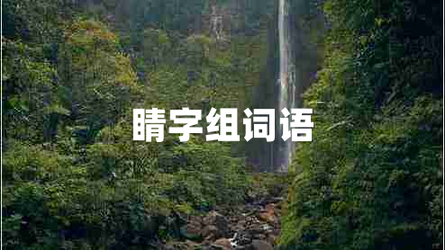 睛字組詞語