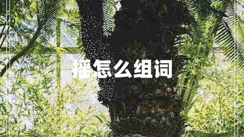 搖怎么組詞