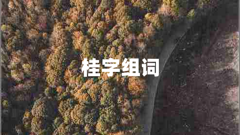 桂字組詞