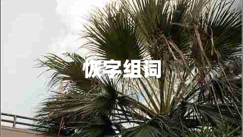 恢字組詞