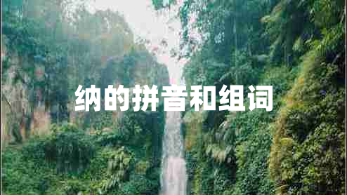 納的拼音和組詞