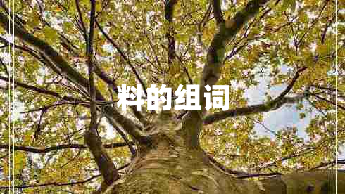 料的組詞