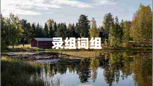錄組詞組