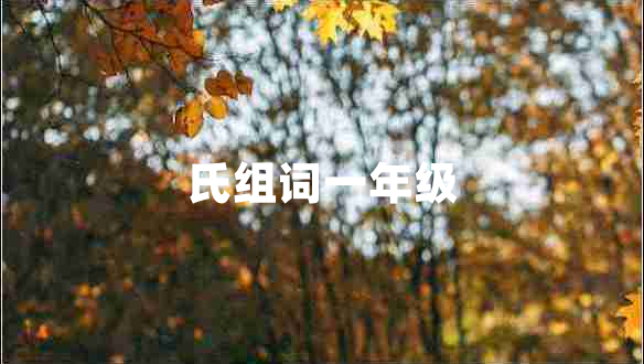 氏組詞一年級