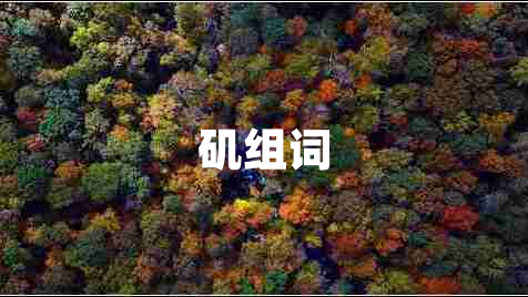 磯組詞