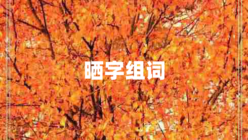 曬字組詞