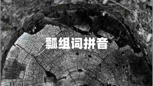 瓢組詞拼音