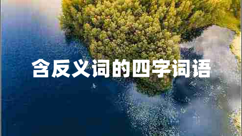 含反義詞的四字詞語(yǔ)