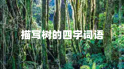 描寫(xiě)樹(shù)的四字詞語(yǔ)