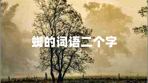 蜘的詞語(yǔ)二個(gè)字