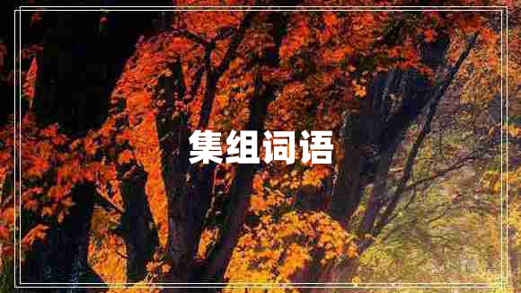 集組詞語(yǔ)