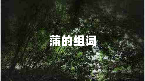 蒲的組詞