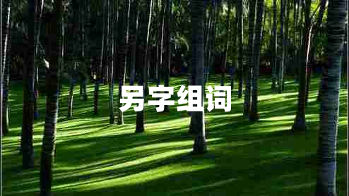 另字組詞