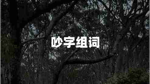 吵字組詞