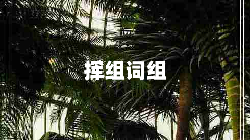 揮組詞組