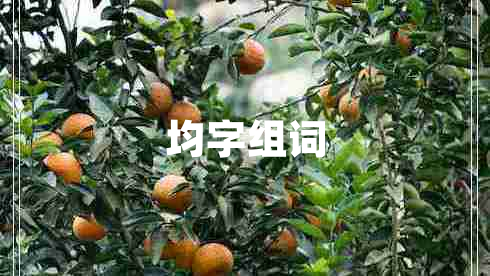 均字組詞