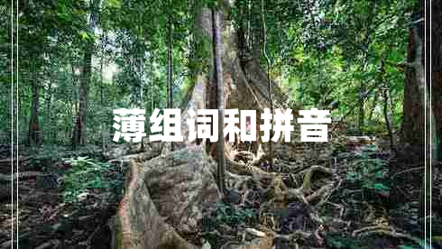 薄組詞和拼音