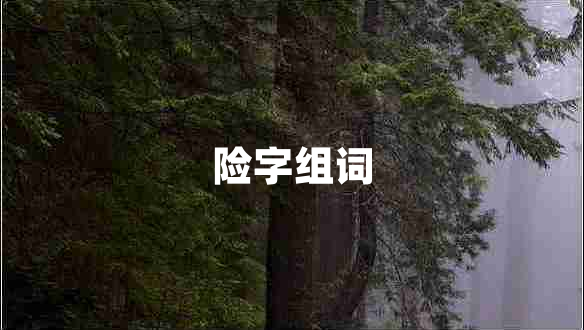 險字組詞