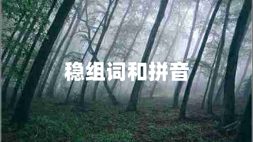 穩組詞和拼音