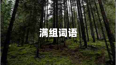 滿(mǎn)組詞語(yǔ)