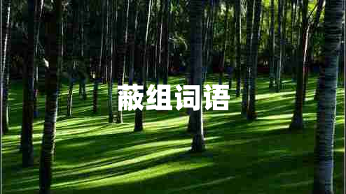 蔽組詞語(yǔ)