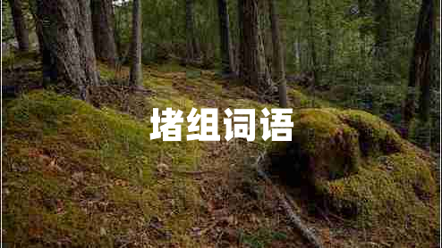 堵組詞語