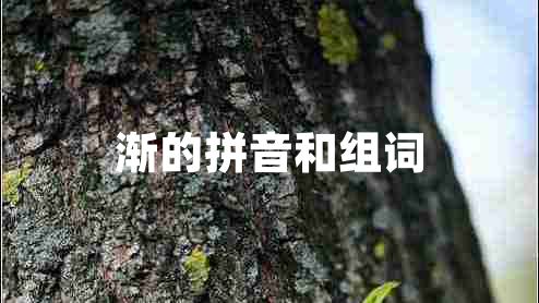 漸的拼音和組詞