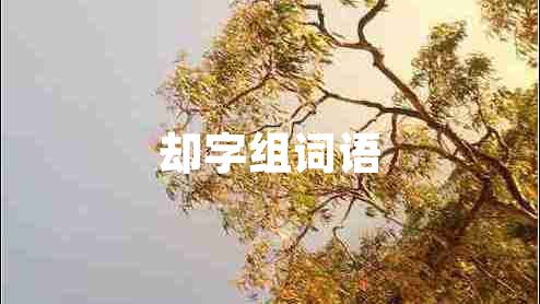 卻字組詞語