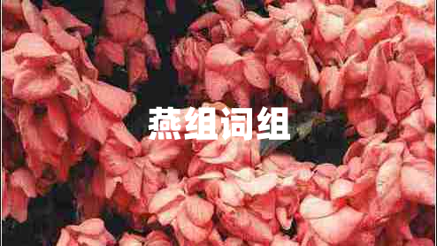 燕組詞組
