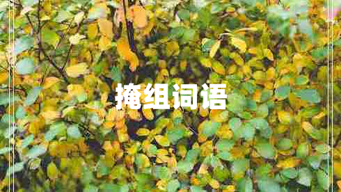 掩組詞語(yǔ)