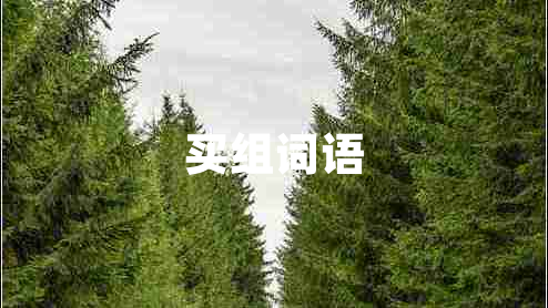 買組詞語