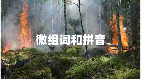 微組詞和拼音