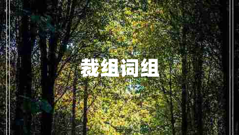 裁組詞組