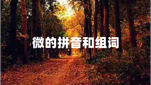 微的拼音和組詞