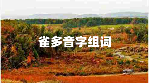 雀多音字組詞
