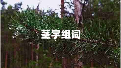 莖字組詞