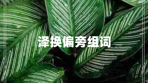 澤換偏旁組詞